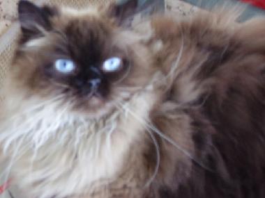 Apartamento de vacaciones en Tel Aviv (Tel Aviv)Casa de vacaciones