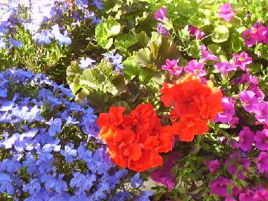 Apartamento de vacaciones en Tel Aviv (Tel Aviv)Casa de vacaciones