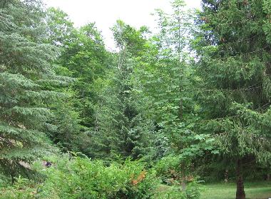 Casa de vacaciones en Kolasin (Montenegro)Casa de vacaciones