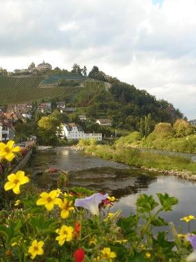 Apartamento de vacaciones en Freudenstadt (Schwarzwald)Casa de vacaciones