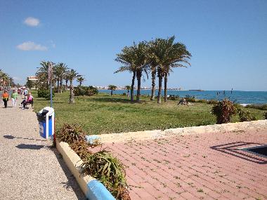 Apartamento de vacaciones en Torrevieja (Mar Azul) (Alicante / Alacant)Casa de vacaciones