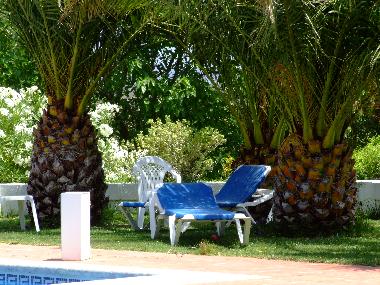 Apartamento de vacaciones en Jatar (Granada)Casa de vacaciones