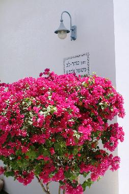 Apartamento de vacaciones en Eilat (HaDarom (Southern))Casa de vacaciones