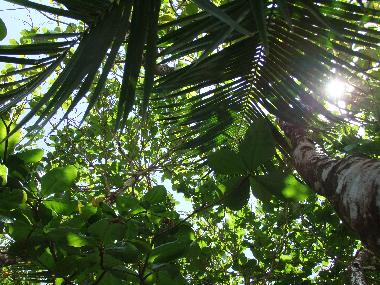 Casa de vacaciones en Horquetas (Heredia)Casa de vacaciones