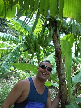 Casa de vacaciones en Micoud (Micoud)Casa de vacaciones