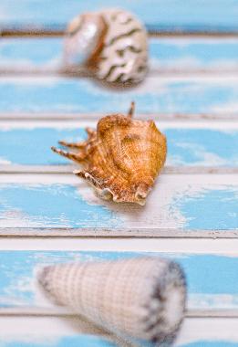 Casa de vacaciones en Cape Town (Western Cape)Casa de vacaciones