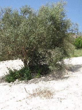 Villa en n/a (Ragusa)Casa de vacaciones