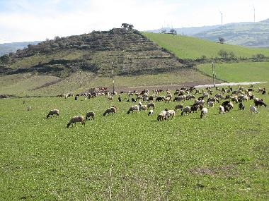 Villa en n/a (Ragusa)Casa de vacaciones
