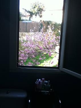 Apartamento de vacaciones en Santiago compostela (A Coru�a)Casa de vacaciones