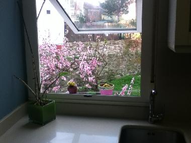 Apartamento de vacaciones en Santiago compostela (A Coru�a)Casa de vacaciones