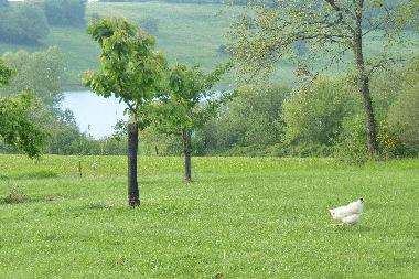 Casa de vacaciones en LAVIT DE LOMAGNE (Tarn-et-Garonne)Casa de vacaciones