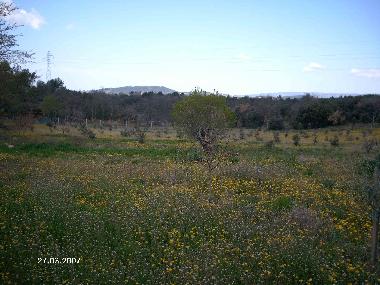 Apartamento de vacaciones en Apt (Vaucluse)Casa de vacaciones