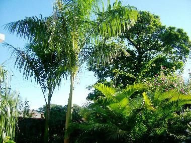 Cama y desayuno en Mariano Roque Alonso (Central)Casa de vacaciones