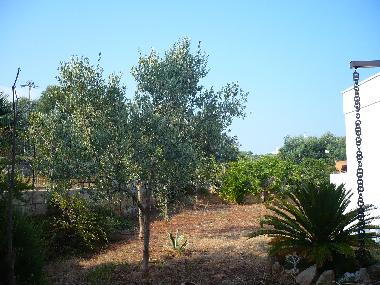 Villa en SALVE (Lecce)Casa de vacaciones