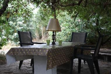 Apartamento de vacaciones en El Palmar de Vejer (C�diz) (C�diz)Casa de vacaciones