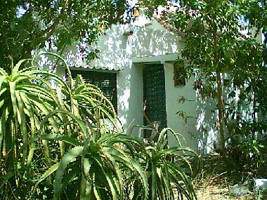 Apartamento de vacaciones en El Palmar de Vejer (C�diz) (C�diz)Casa de vacaciones