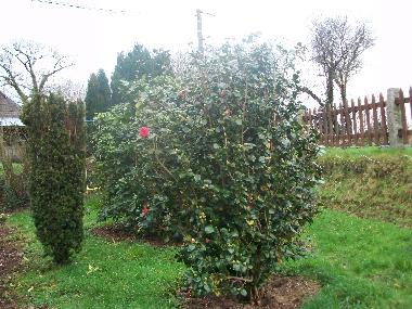 Apartamento de vacaciones en saint jean du corail des bois (Manche)Casa de vacaciones