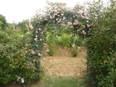 Apartamento de vacaciones en Cortona (Arezzo)Casa de vacaciones