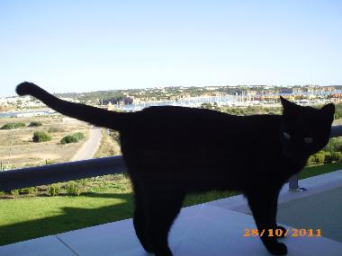 Apartamento de vacaciones en Praia da Rocha (Algarve)Casa de vacaciones