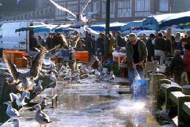 Villa en le tr�port (Seine-Maritime)Casa de vacaciones