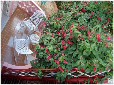 Cama y desayuno en ViÃ±ales (Pinar del Rio)Casa de vacaciones