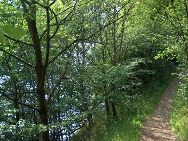 Apartamento de vacaciones en Manderfeld (Wallonia)Casa de vacaciones