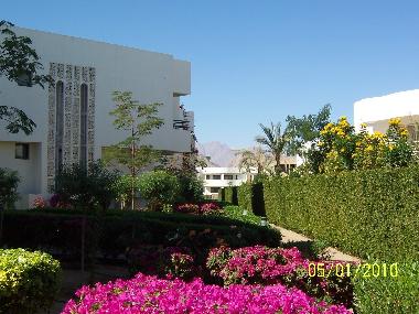 Apartamento de vacaciones en Sharm el Sheikh (Janub Sina