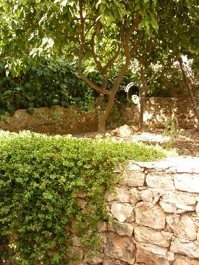 Apartamento de vacaciones en Seget Vranjica (Splitsko-Dalmatinska)Casa de vacaciones