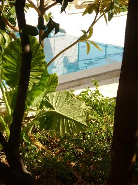 Apartamento de vacaciones en Seget Vranjica (Splitsko-Dalmatinska)Casa de vacaciones