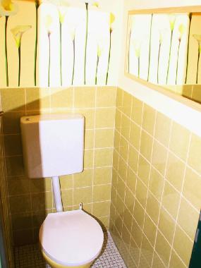 Apartamento de vacaciones en Bad Ems (Rheintal, Lahn, Taunus)Casa de vacaciones