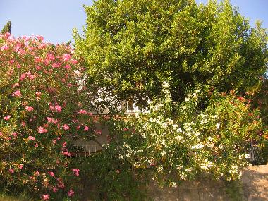 Casa de vacaciones en Trpanj (Dubrovacko-Neretvanska)Casa de vacaciones