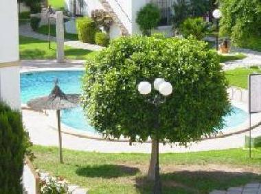 Apartamento de vacaciones en torrevieja (Alicante / Alacant)Casa de vacaciones