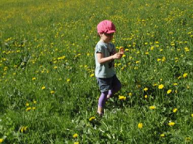 Apartamento de vacaciones en Abtenau (Salzburg und Umgebung)Casa de vacaciones