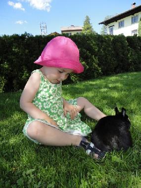 Apartamento de vacaciones en Abtenau (Salzburg und Umgebung)Casa de vacaciones