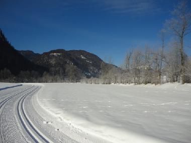 Apartamento de vacaciones en Abtenau (Salzburg und Umgebung)Casa de vacaciones