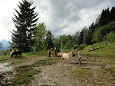 Apartamento de vacaciones en Abtenau (Salzburg und Umgebung)Casa de vacaciones