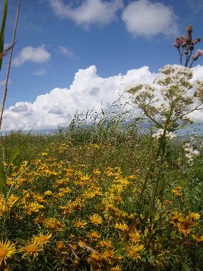 Barco en L�bara (Saaremaa)Casa de vacaciones