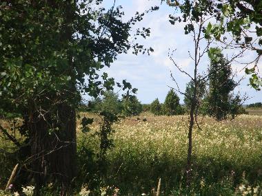 Barco en L�bara (Saaremaa)Casa de vacaciones