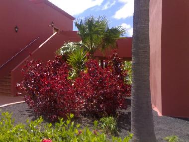 Apartamento de vacaciones en CORRALEJO (Fuerteventura)Casa de vacaciones