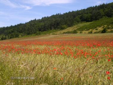Casa de vacaciones en lavoute chilhac (Haute-Loire)Casa de vacaciones