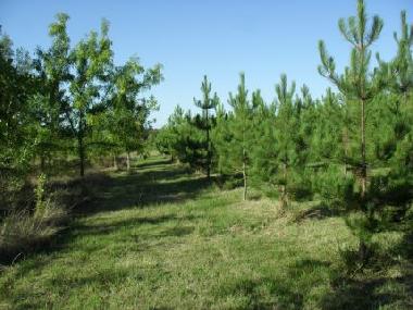 Apartamento de vacaciones en Saint Aubin de Luign� (Maine-et-Loire)Casa de vacaciones