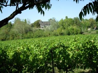 Apartamento de vacaciones en Saint Aubin de Luign� (Maine-et-Loire)Casa de vacaciones