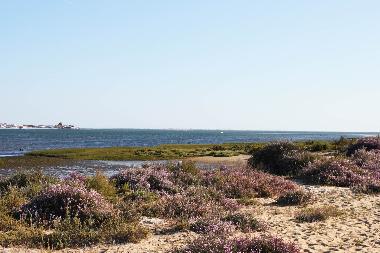 Casa de vacaciones en Olhao (Algarve)Casa de vacaciones