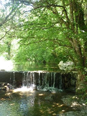 Apartamento de vacaciones en labastide rouairoux (Tarn)Casa de vacaciones