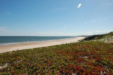 playa frente la casa