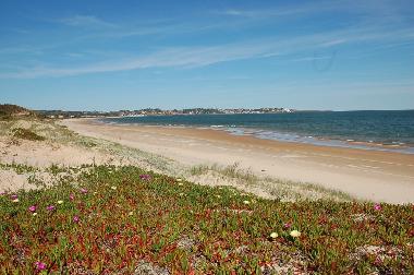 playa frente casa con vista a Punta Ballena