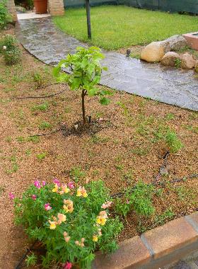 Casa de vacaciones en Capoterra (Cagliari)Casa de vacaciones