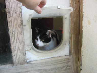 Casa de vacaciones en Alba (Cuneo)Casa de vacaciones