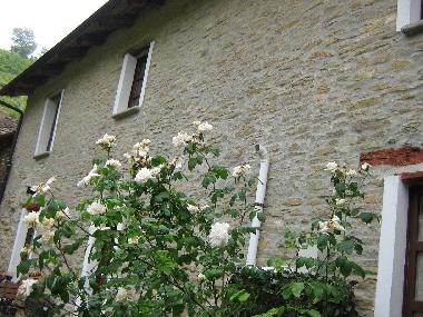 Casa de vacaciones en Alba (Cuneo)Casa de vacaciones