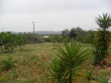 Apartamento de vacaciones en Ribeira de Alte - Paderne (Algarve)Casa de vacaciones